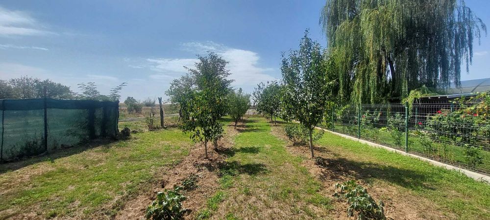 Casa 3 camere caramida, locuita in Baldana (Tartasesti)