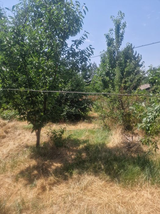 Участок с домом Ташкентская область