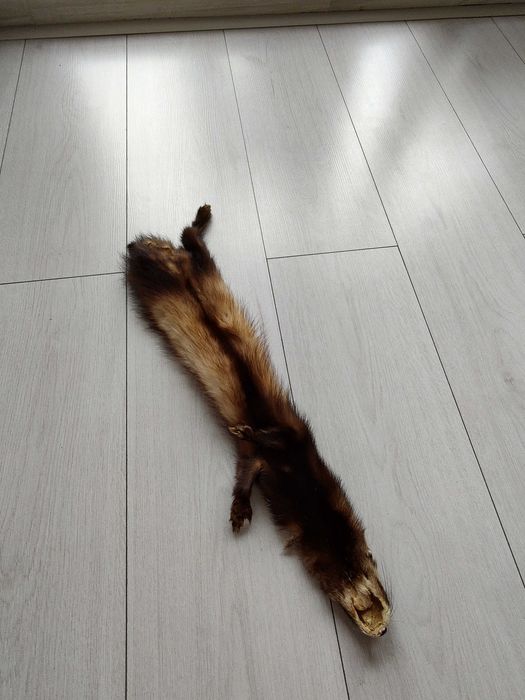 Естествена кожа от куница