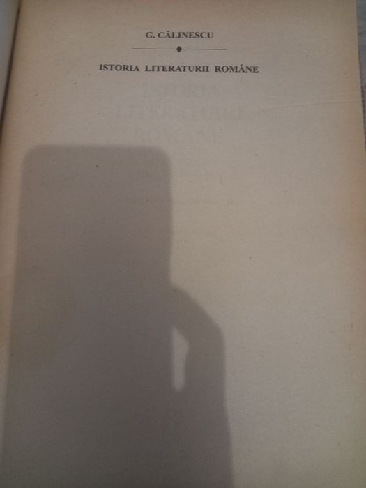 Istoria literaturii romane