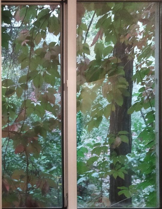 Однушка на Аль-фараби. Сдам