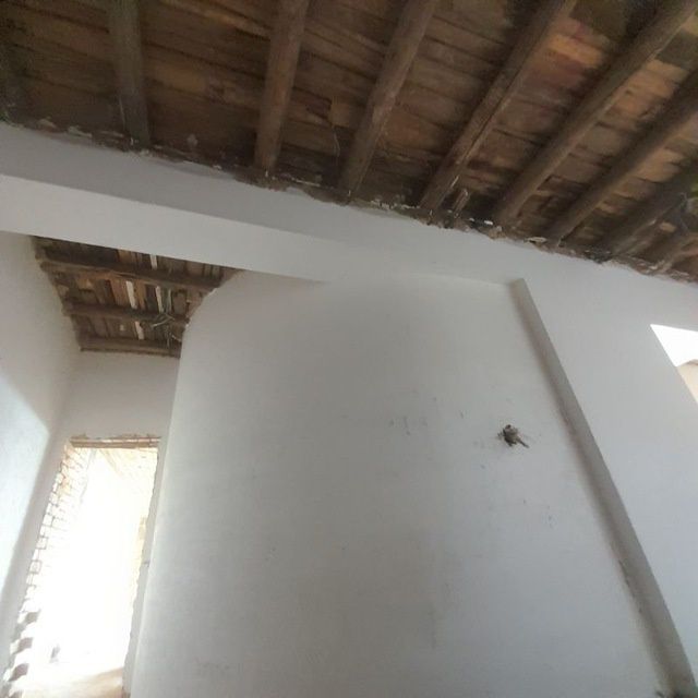 Gips va Albaster   Suvoq Xizmatlari!
​Uyingizni ta'mirlayapsizmi