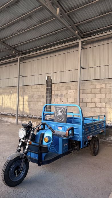 Трицикл муравей электрически