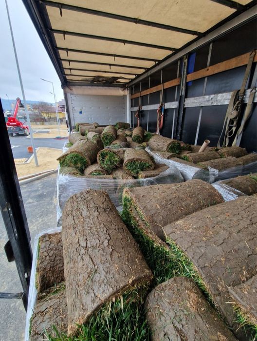 Vând si montez gazon rulou