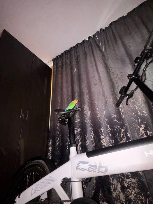 электровелик  HIMO C20