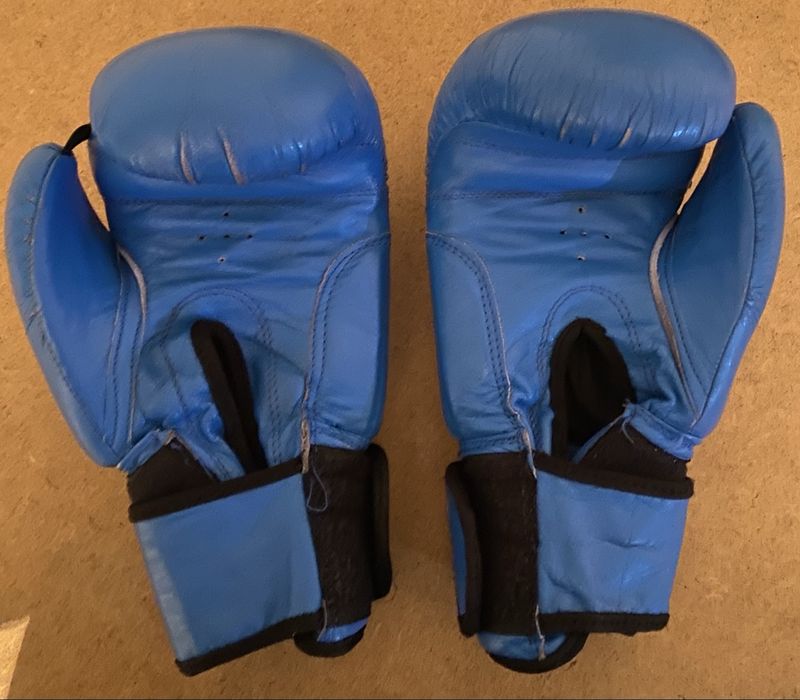 Боксерские перчатки EVERLAST