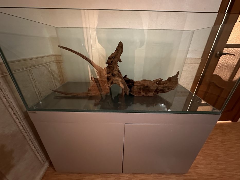Мангровые коряги для акварима