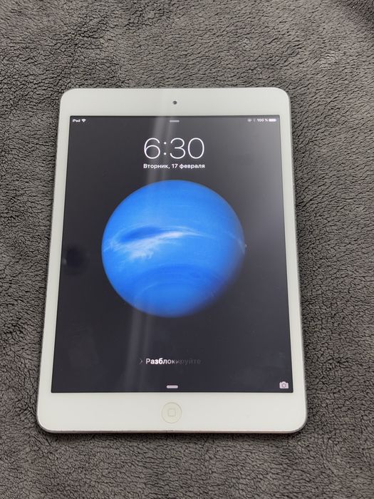 iPad mini (1-е поколение)