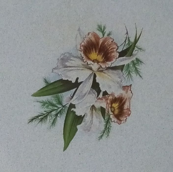 Блюдо эмалированное