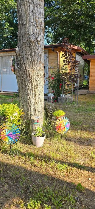 Продава се Къща в с. Марково, Област Пловдив - 40 кв.м за 638 €/кв.м - Снимка #9