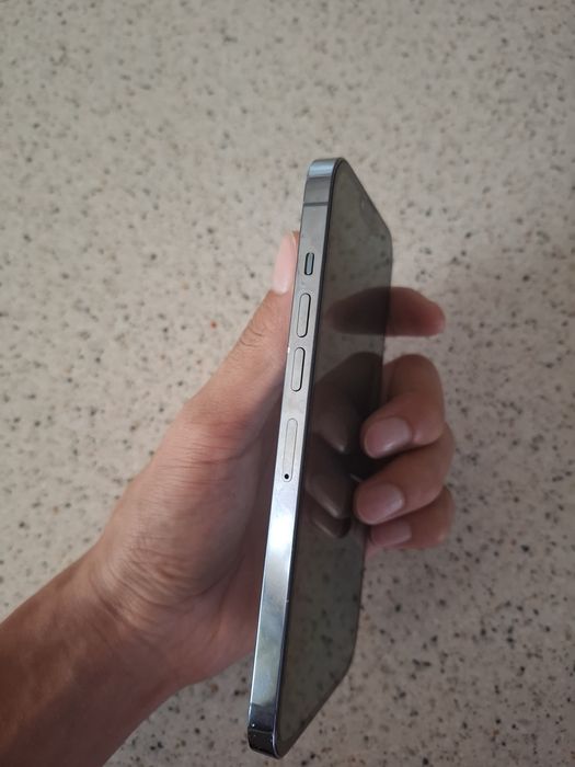 iPhone 13 pro max 256/80%
