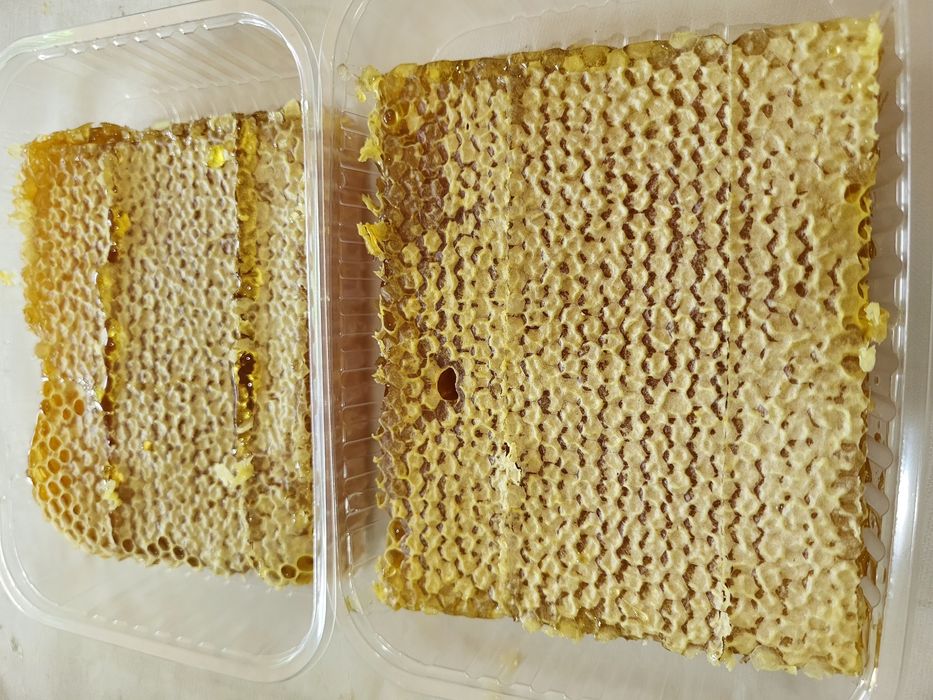 Мед и сотовый мёд оптом и врозницу