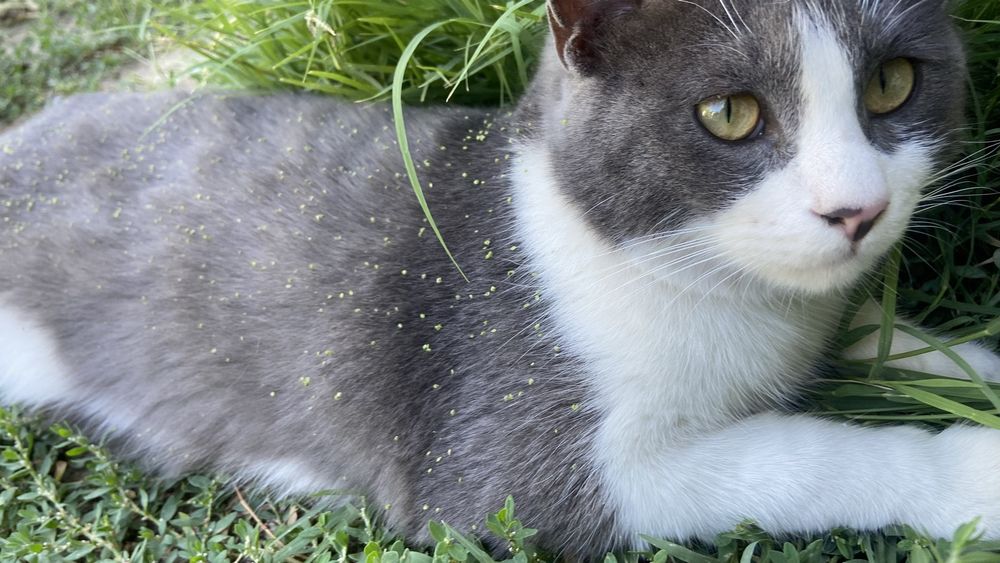 Эротикалық секс