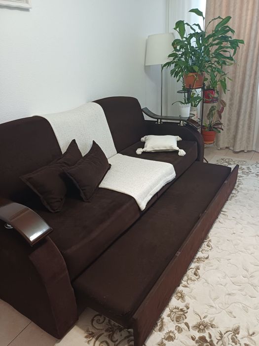 Canapea extensibila cu arcuri, 2 locuri