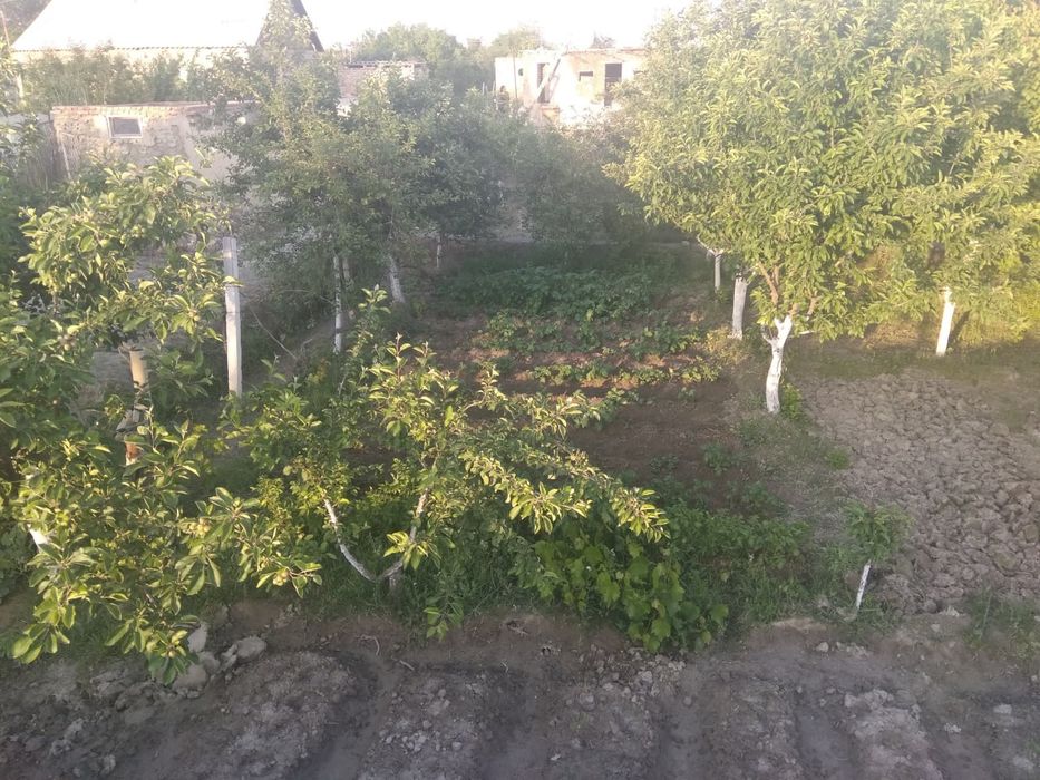 Продаётся дачный земельный участок