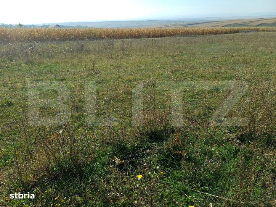 Teren de vanzare, 800 mp, zona Sud-Vest