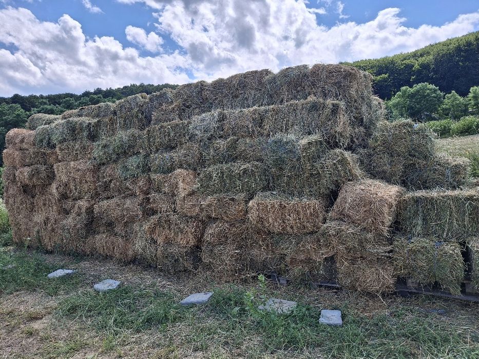 Baloți lucernă !