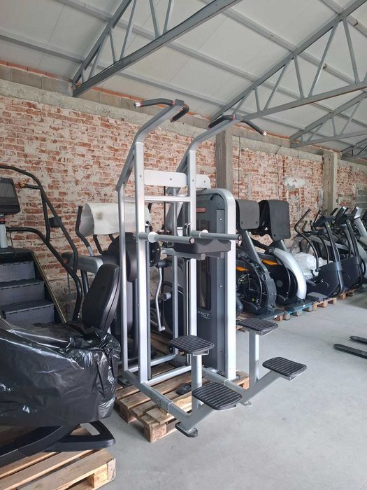 Star Trac Impact Chin/Dip Assist