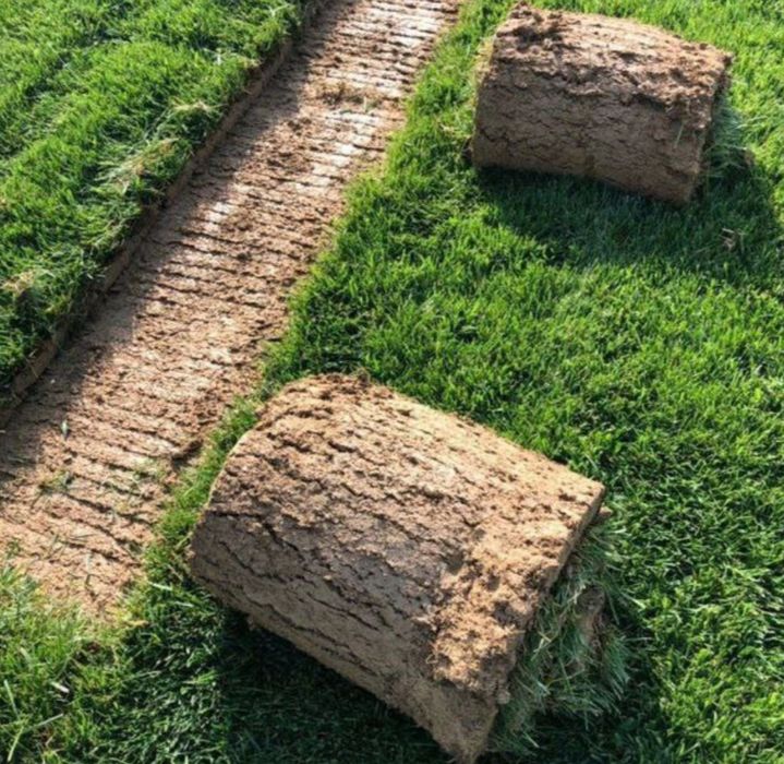 Газон,газон рулонный. Автополив