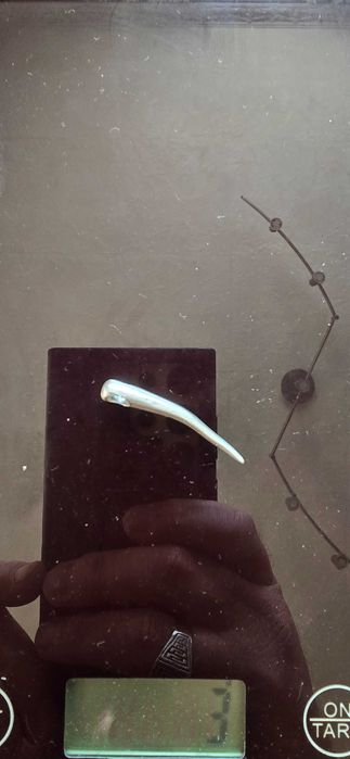 Сребърен ланец със сребърна висулка рог.