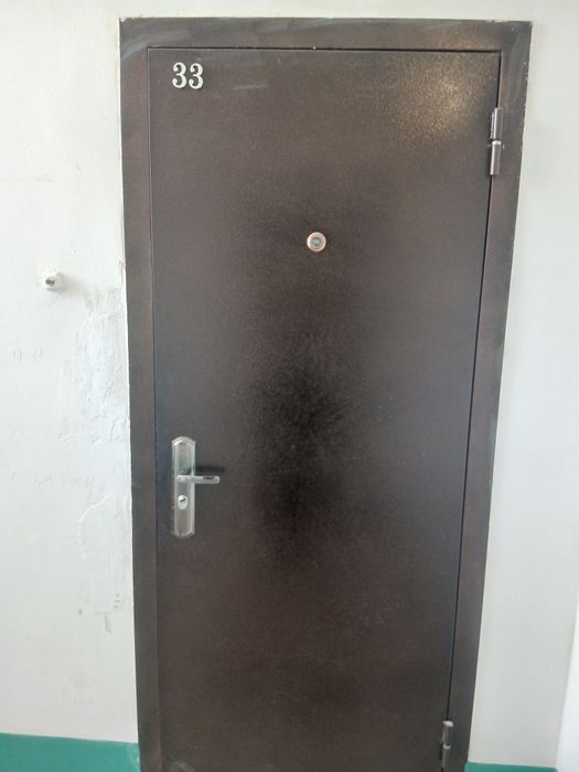 Дверь наружная,металлическая