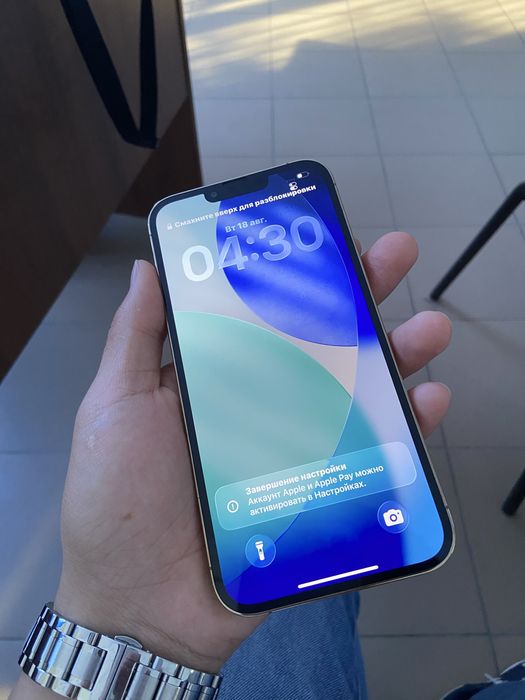 iphone 13 pro max 1 tb