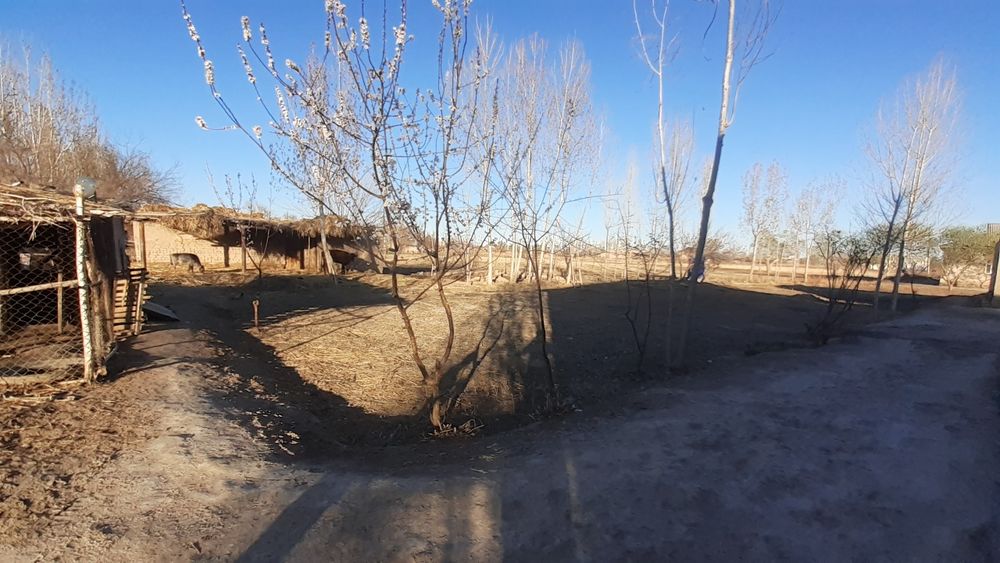 тез арада 5 ханалы уй сатлады