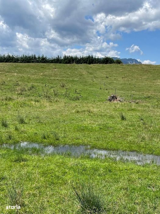 INVESTIȚIE | Teren 5000 mp PUZ APROBAT intravilan - zona Sohodol -Bran