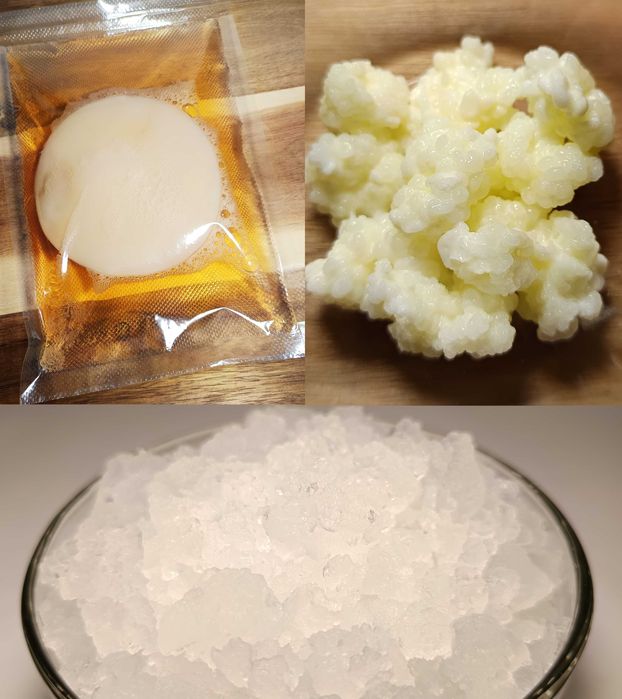 Pachet Kefir lapte + Kefir apă + Kombucha | 3 culturi vii pentru fermentare acasă + instrucțiuni complete