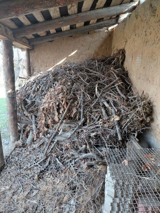 Отын агаш отын агаш