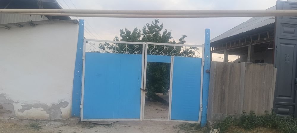 Darvoza sotiladi 4 milon kami bor