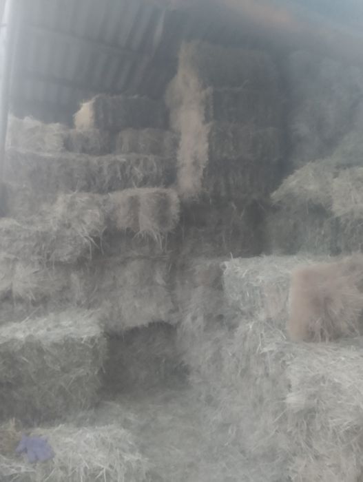 Продам сено в тюках