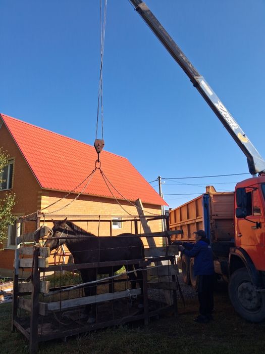 Продам Камаз сельхозник - самосвал - манипулятор