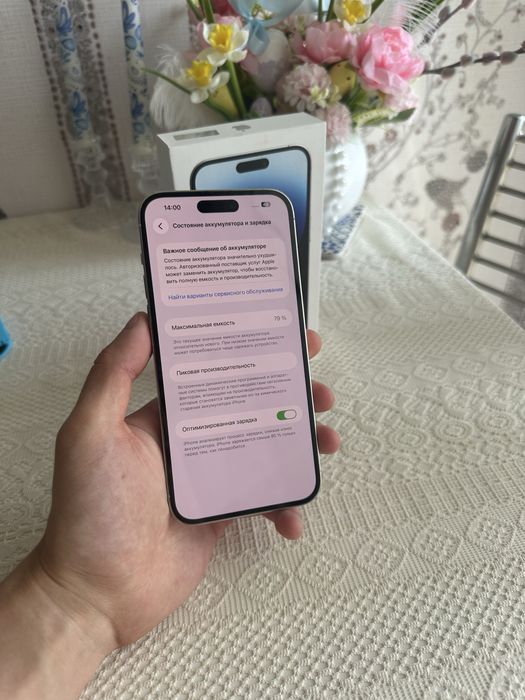 Iphone 14 Pro Max (256 gb)