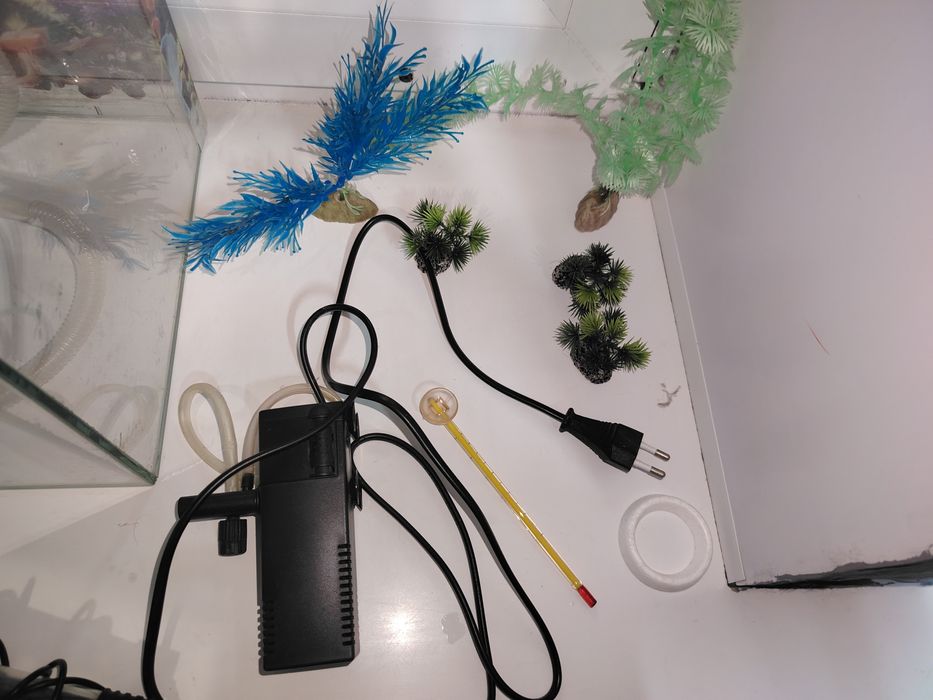 Продам аквариум со всем необходимым