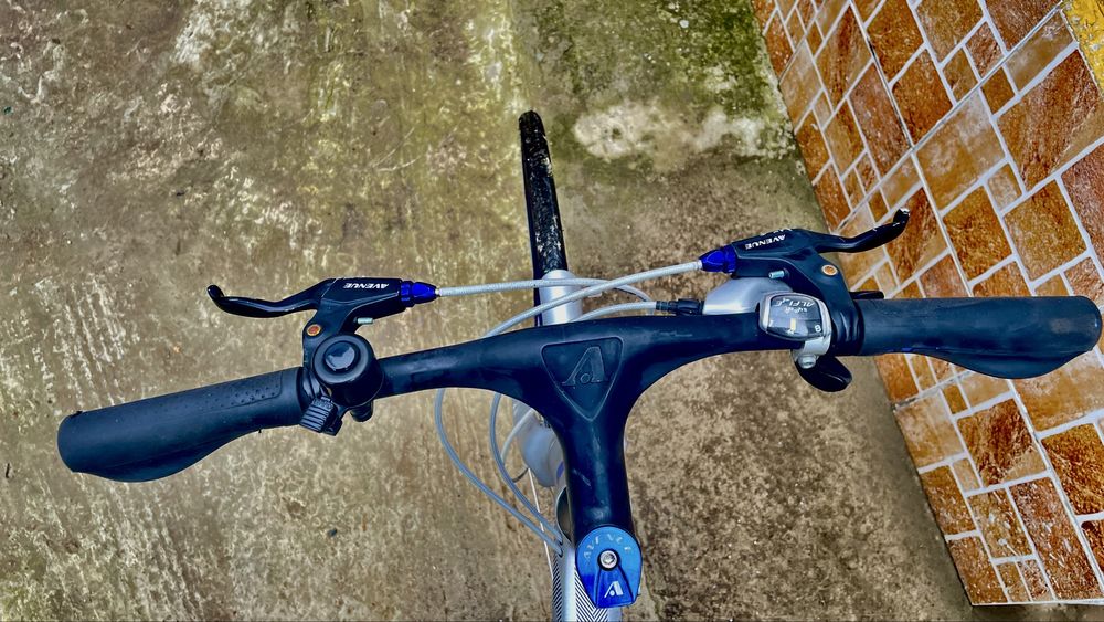 Bicicleta SemiCursiera