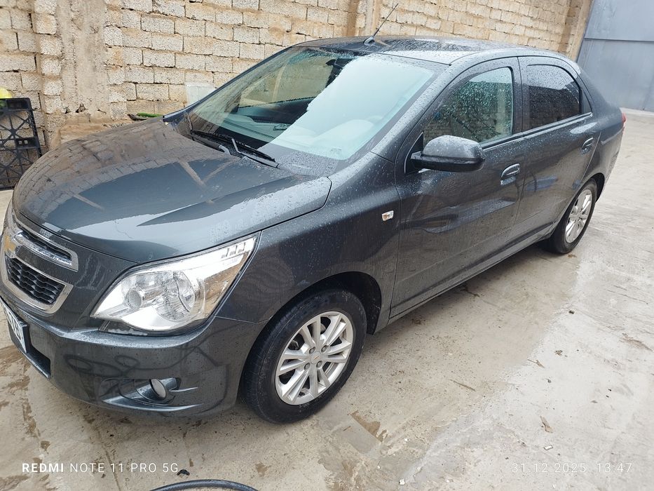 2022 краска тозза