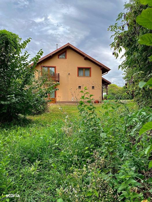 Domeniu 2 Ha cu Pădure și Izvor – Hotarele, Giurgiu