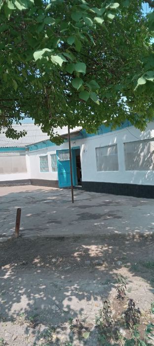 Тошкент вилочти Куйи Чирчик туманида жойлашган ховли уй