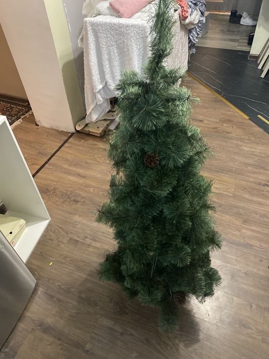 Ёлка Новогодняя Елка Ель