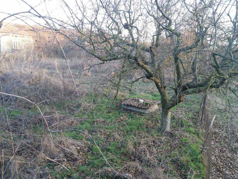 Продава се Къща в с. Росица, Област Добрич - 65 кв.м за 119 €/кв.м - Снимка #4