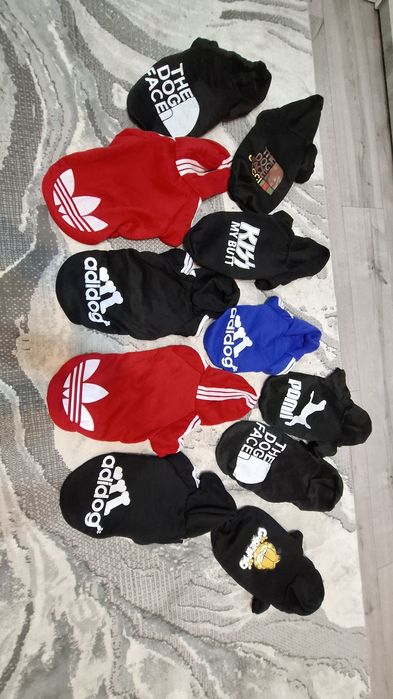 Hăinuțe catei talie mica