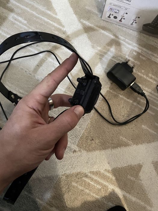 Ошейник для собак