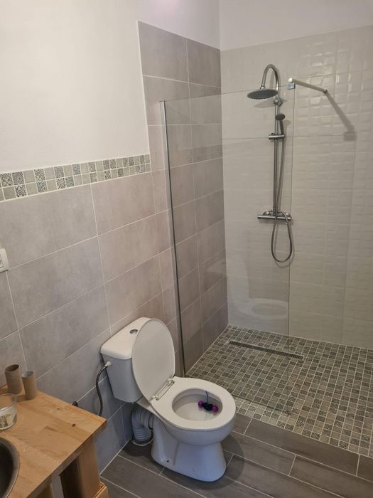 Inchiriez casa in Arpasu de jos