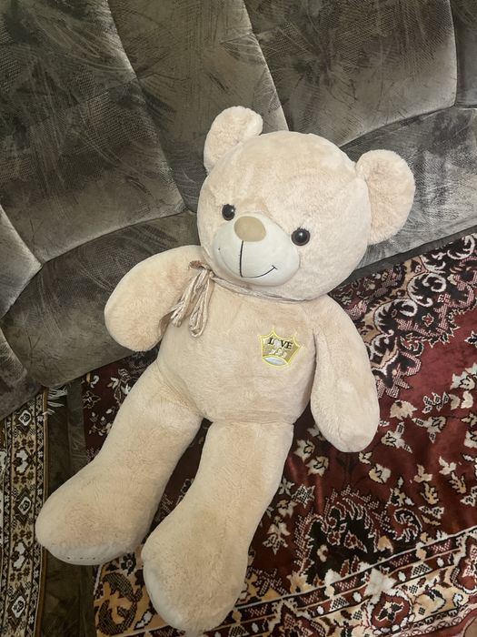 Медведь среднего размера