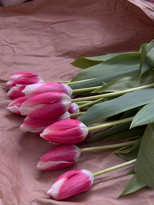 Тюльпаны на 8 марта | Предзаказ