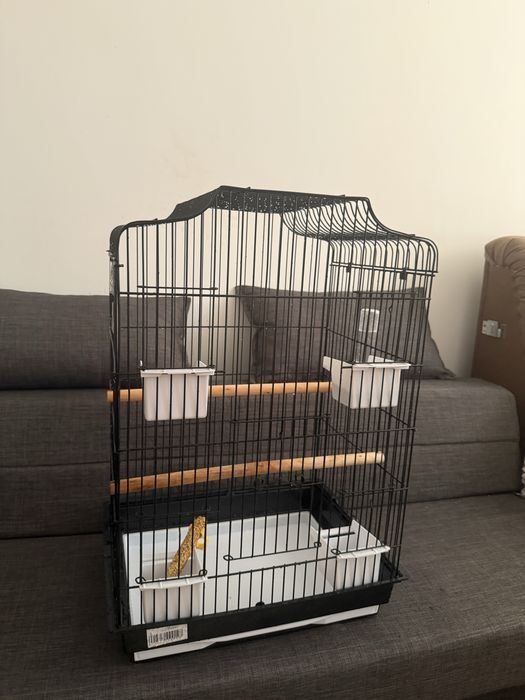 Попугай и клетка