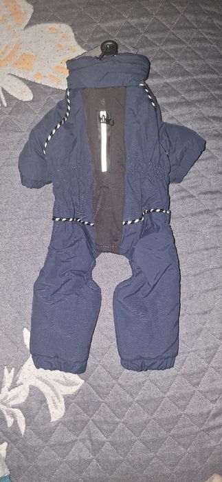 Костюм для маленьких собак