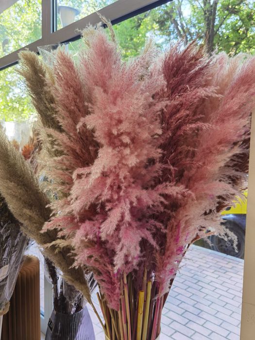 Сухи цветя - пампас, гипсофил, статица, хортензия и други