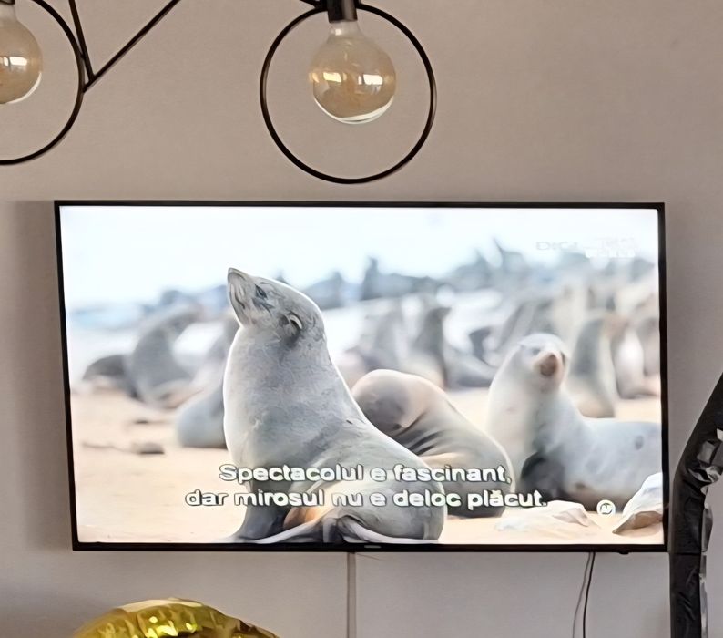 Tv smart Samsung 138 cm